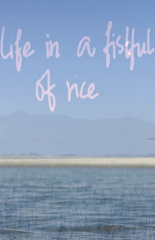 LIFE IN A FISTFUL OF RICE