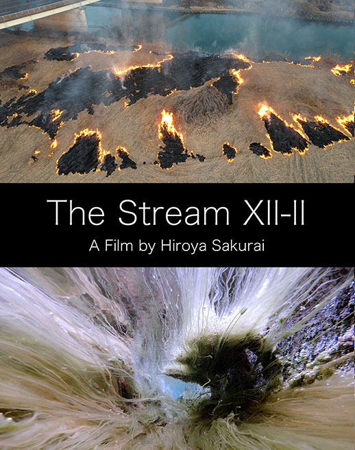 The Stream XII-II