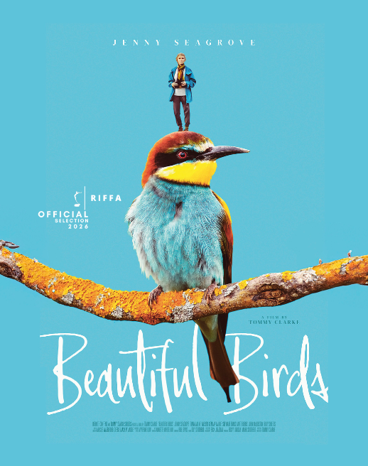 Beautiful Birds
