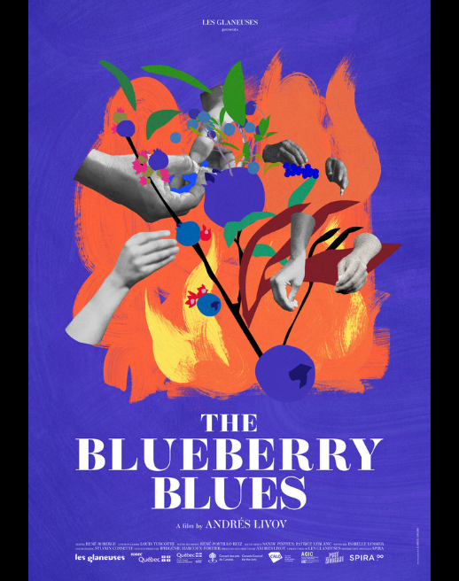 The Blueberry Blues